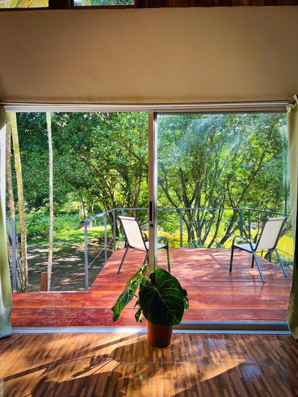 דירות Boca Tapada Ficus House מראה חיצוני תמונה